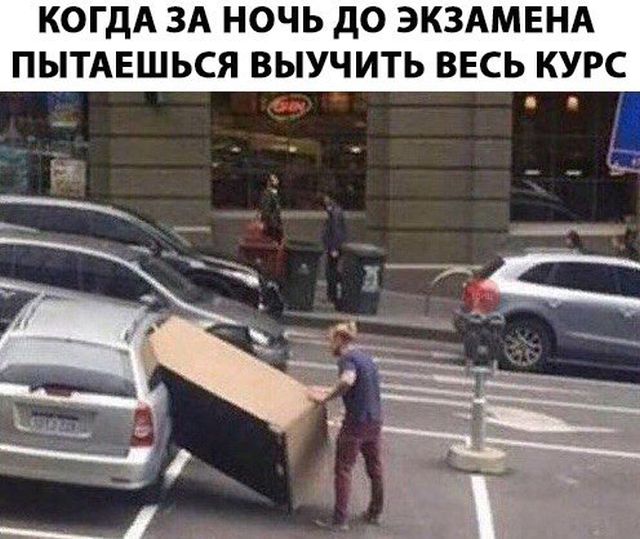 Прикольные картинки