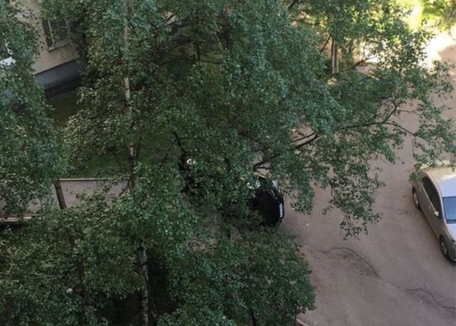 Месть за неправильную парковку