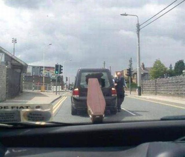 Прикольные картинки