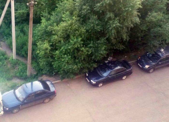 Нравоучение автомобилисту от заботливых соседей