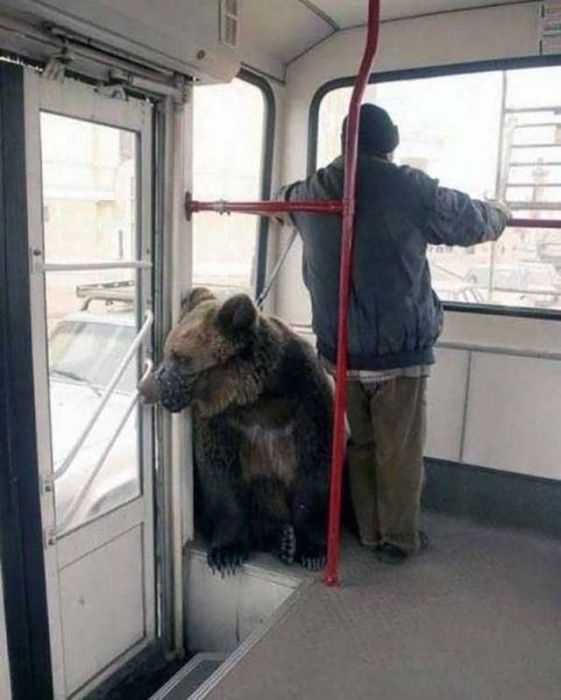 Фото, которые возможно было сделать только в России