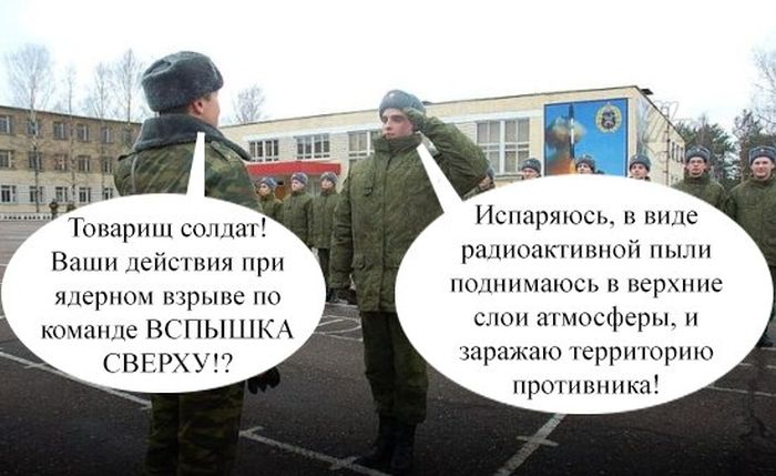 Прикольные картинки