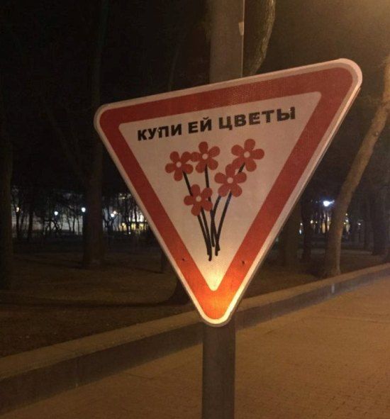 Прикольные картинки