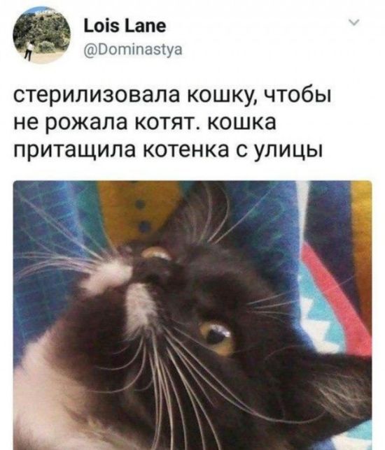 Подборка легкого юмора