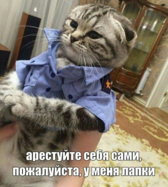 Подборка легкого юмора