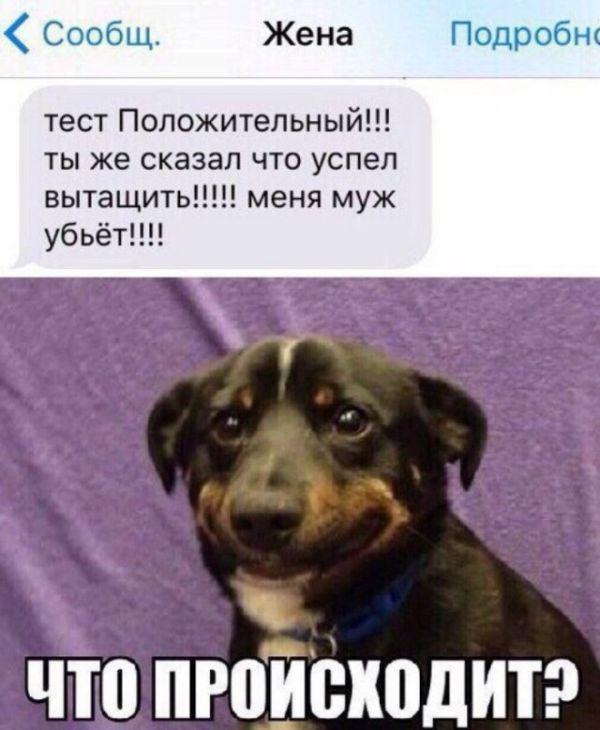 Подборка легкого юмора