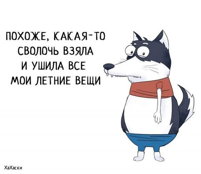 Забавные комиксы из жизни Хаски Карла