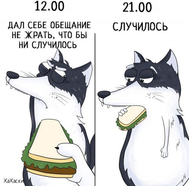 Забавные комиксы из жизни Хаски Карла