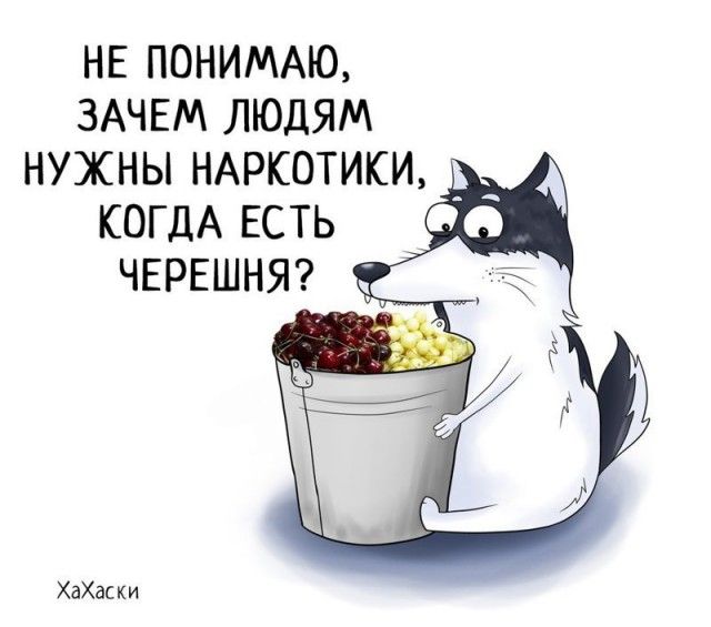 Забавные комиксы из жизни Хаски Карла