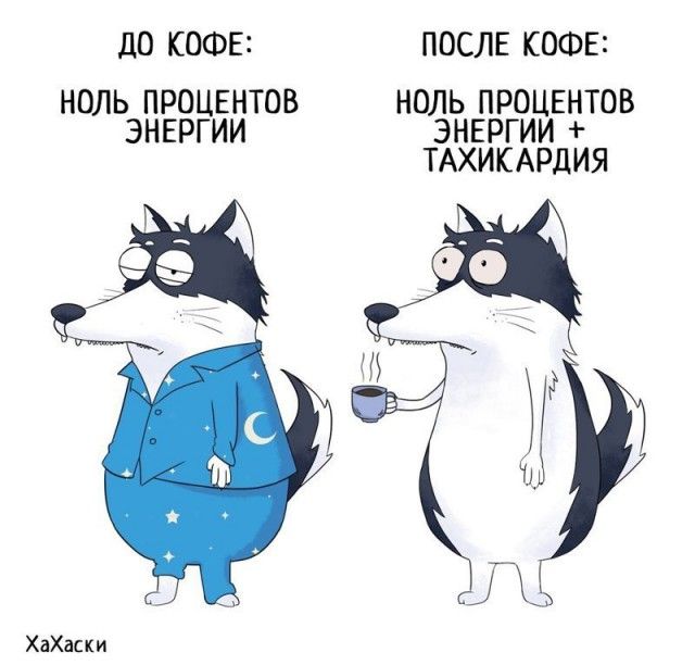Забавные комиксы из жизни Хаски Карла
