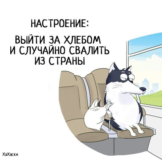 Забавные комиксы из жизни Хаски Карла