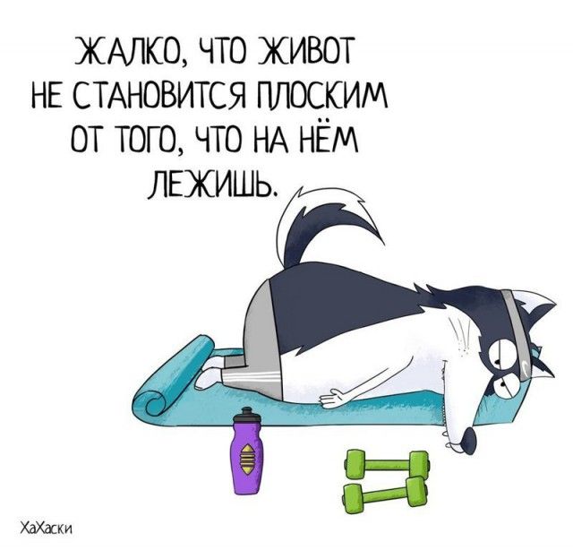Забавные комиксы из жизни Хаски Карла