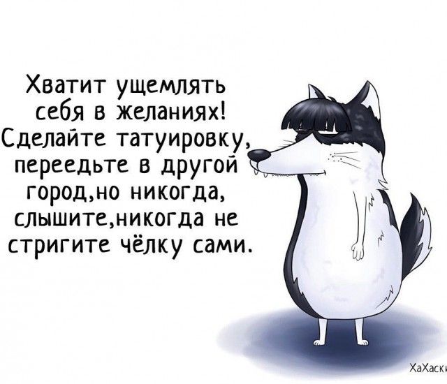 Забавные комиксы из жизни Хаски Карла