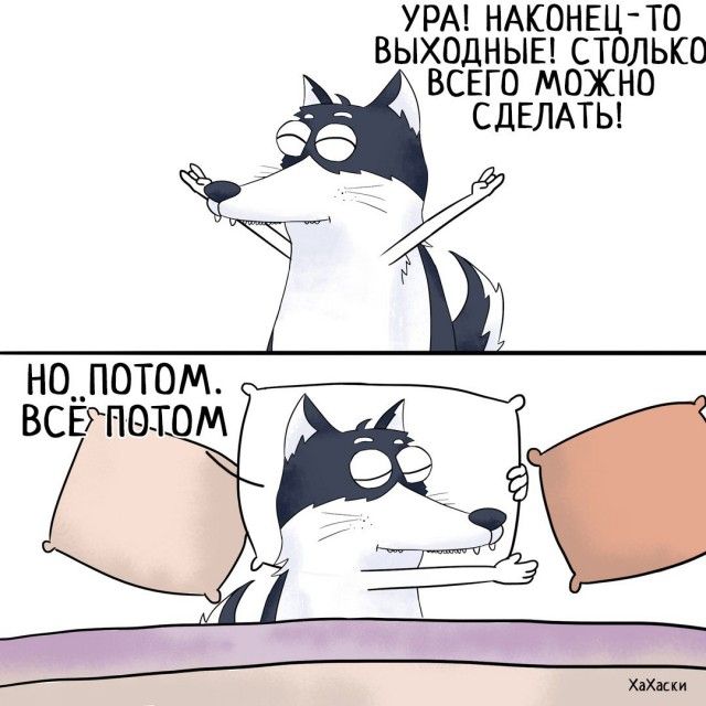 Забавные комиксы из жизни Хаски Карла