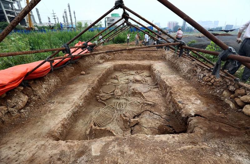 В Китае нашли древние гробницы королевской семьи со скелетами лошадей и собак