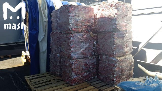 Со стадионов ЧМ 2018 уже было вывезено 220 тонн мусора