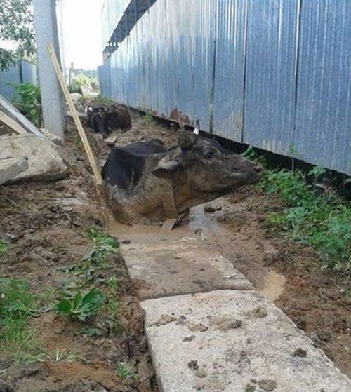 Сотрудники МЧС прибыли на вызов в поселок Бужаниново