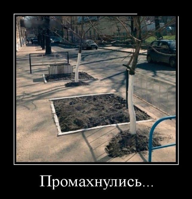 Демотиваторы