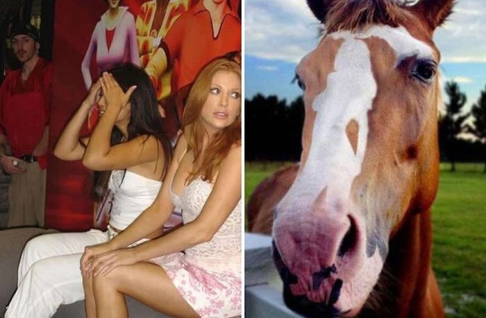 Фотографии, на которые следует взглянуть дважды
