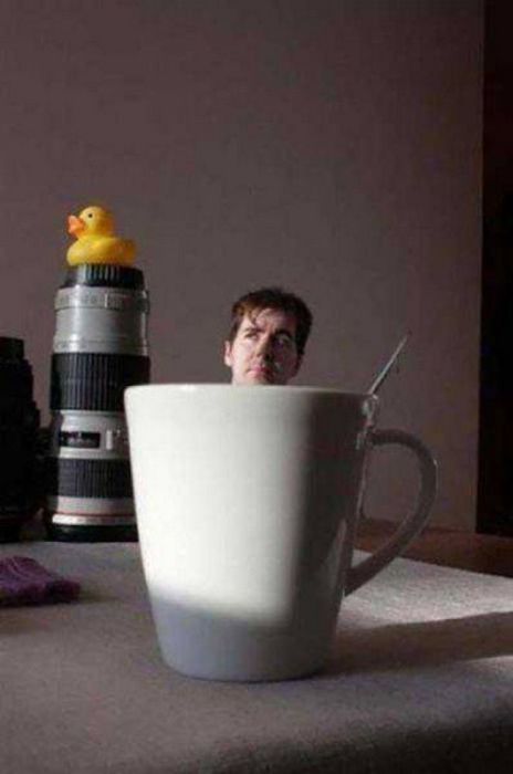 Фотографии, на которые следует взглянуть дважды