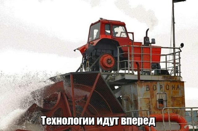 Прикольные картинки