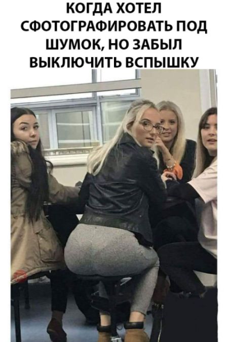 Прикольные картинки