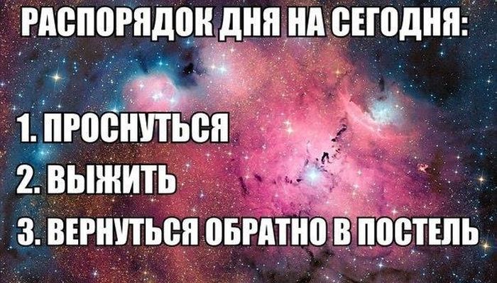 Порция картинок