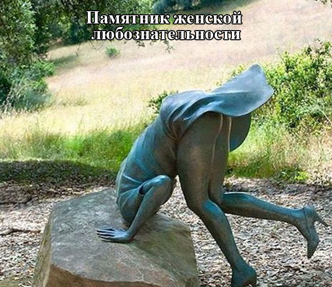 Порция картинок
