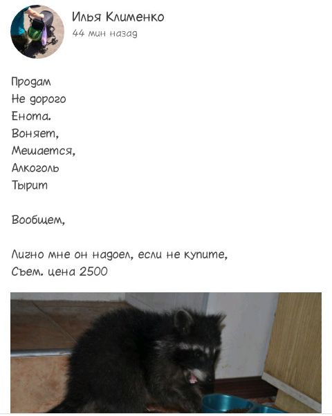 Порция картинок