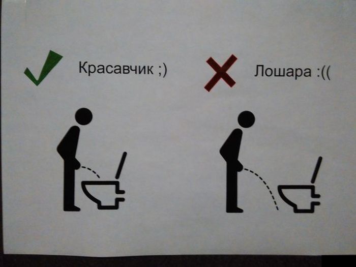 Порция картинок