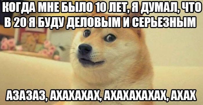 Порция картинок