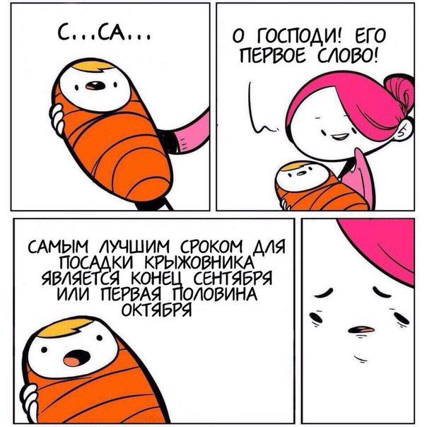 Смешные комиксы