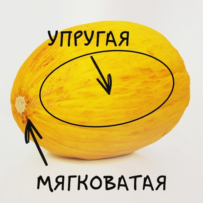 Как выбрать спелую и вкусную дыню Как выбрать спелую и вкусную дыню