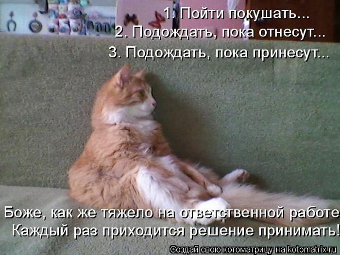 Лучшие котоматрицы недели