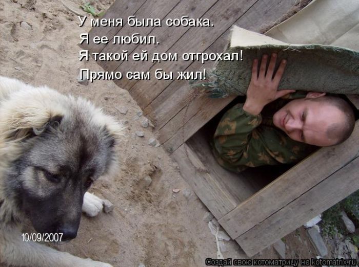 Лучшие котоматрицы недели