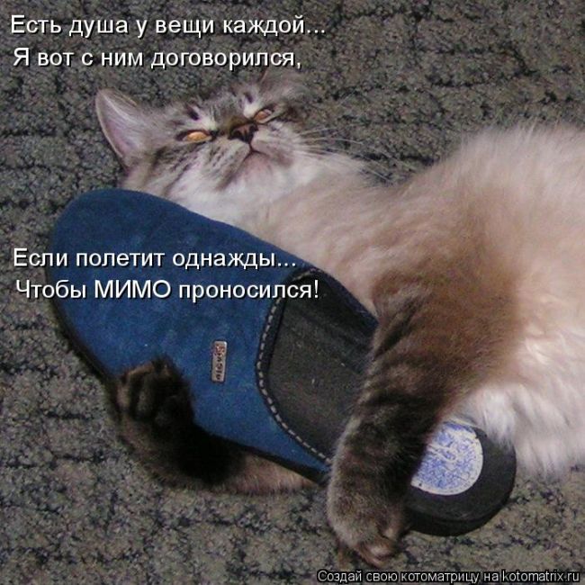 Лучшие котоматрицы недели