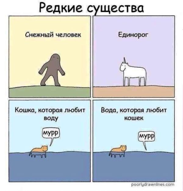 Смешные комиксы