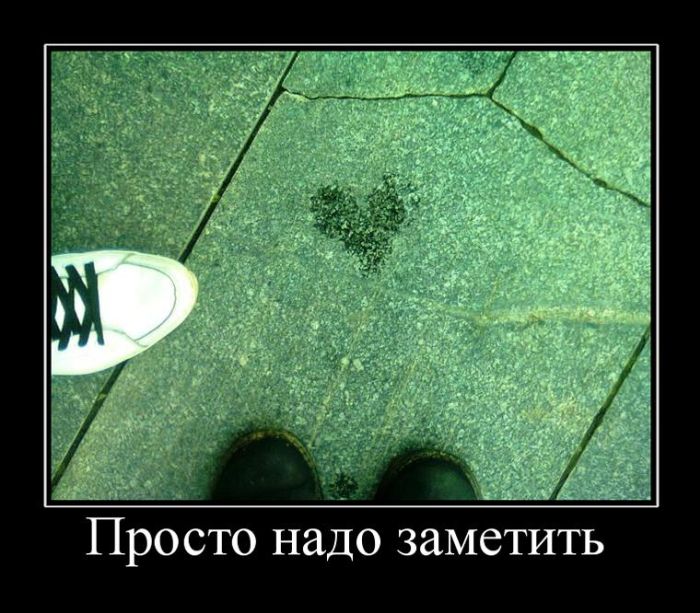 Демотиваторы
