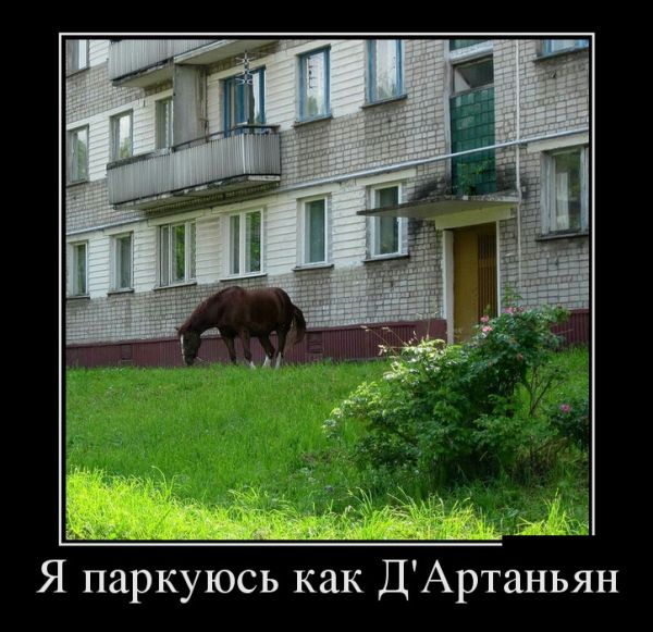 Демотиваторы