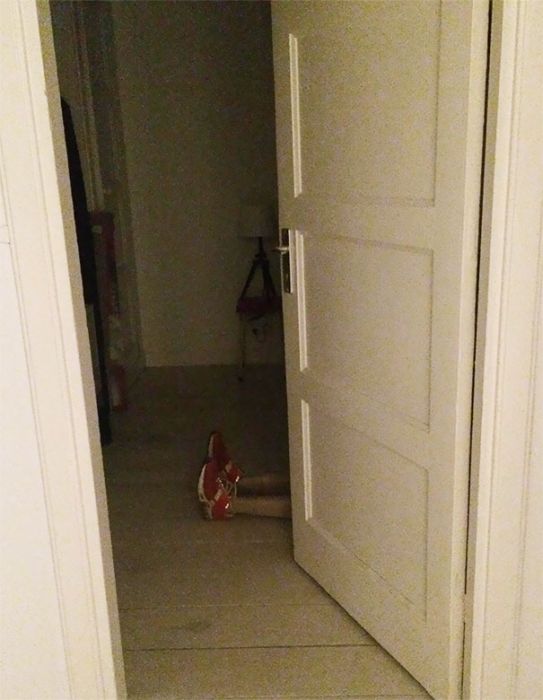 Домашние розыгрыши