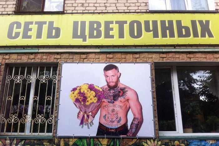 Прикольные картинки