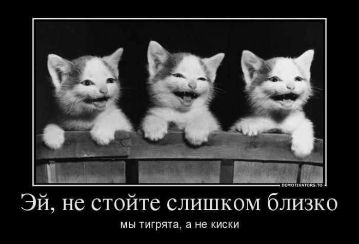 Демотиваторы (40 фото)