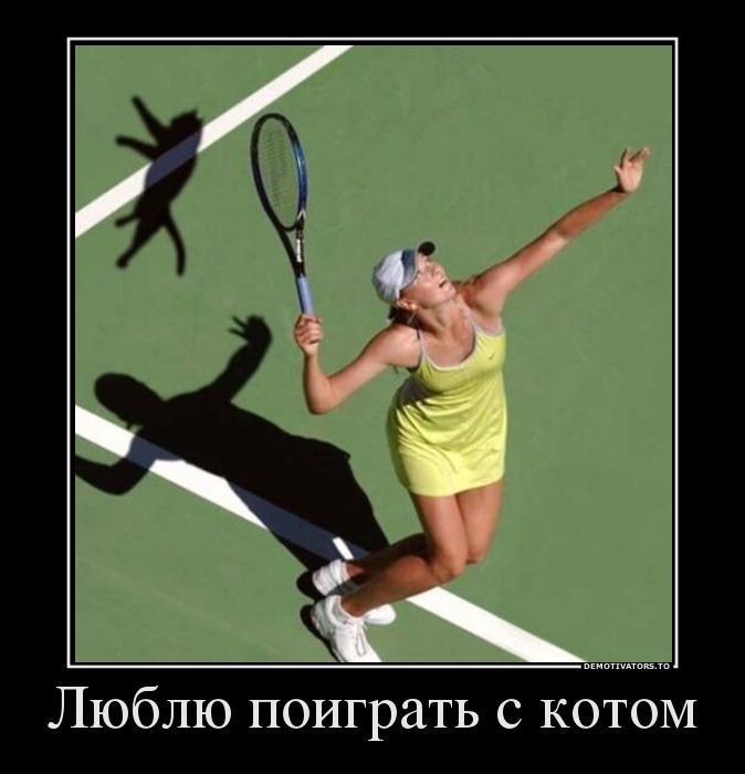 Демотиваторы (40 фото)