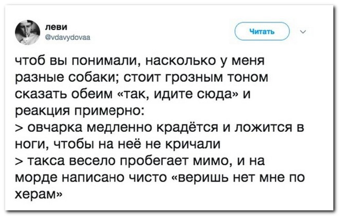 Забавные комментарии из социальных сетей