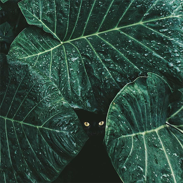 Лучшие фото Instagram за август Лучшие фото Instagram за август