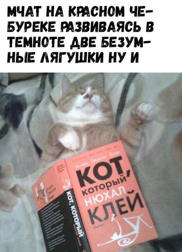 Прикольные картинки