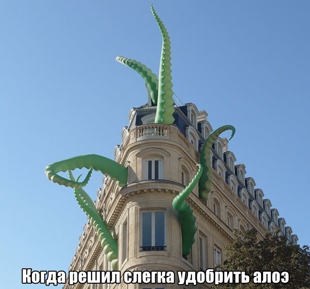 Прикольные картинки
