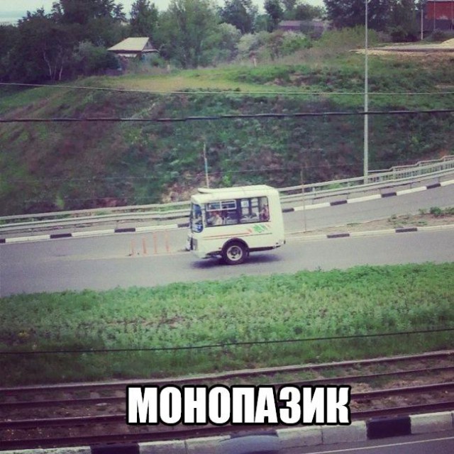 Прикольные картинки
