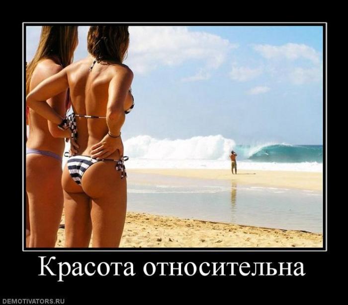 Демотиваторы (83 фото)