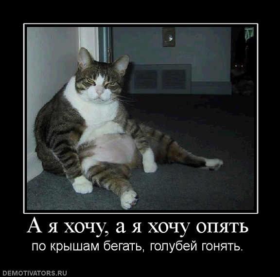 Демотиваторы (83 фото)